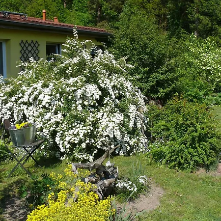 Tinchen Prora Ruegen Apartmán