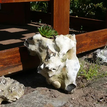 Tinchen Prora Ruegen Binz