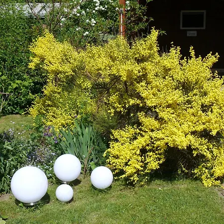 Tinchen Prora Ruegen *