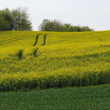 Tinchen Prora Ruegen * Остзебад Бинц