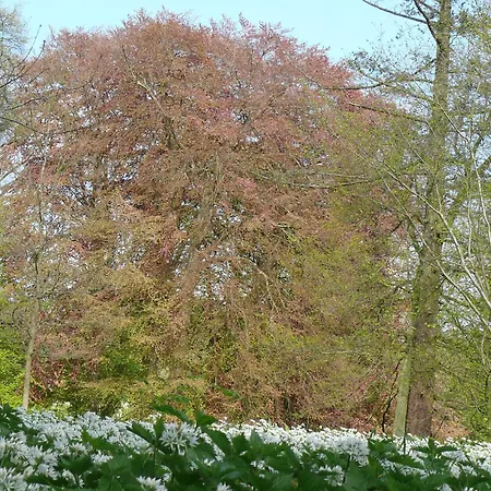 Tinchen Prora Ruegen Апартаменты Остзебад Бинц